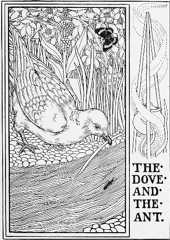 THE DOVE AND THE ANT.