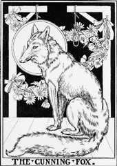 THE CUNNING FOX.
