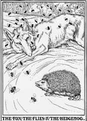 THE FOX THE FLIES & THE HEDGEHOG.
