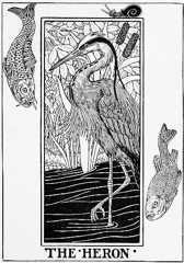 THE HERON.