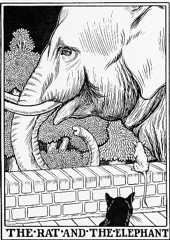 THE RAT AND THE ELEPHANT.