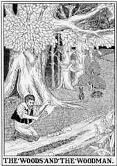 THE WOODS AND THE WOODMAN.