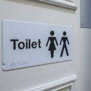 An unpleasant surprise awaits those rolling into the toilet, expecting things to proceed smoothly.