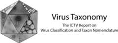ICTV Report