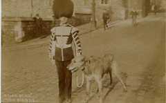 postcard of Brian Boru in Windsor