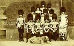 Drums & Fifes Irish Guards