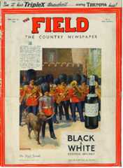 Black & White whisky advertisement