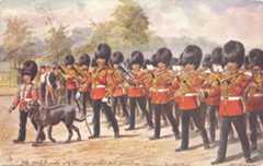 The Irish Guards marching through the park