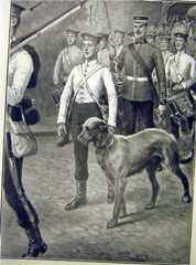 Picture from The Sphere