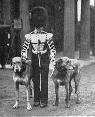 St. Patricks Day 1908