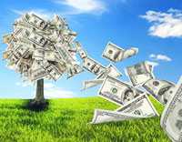 Government Spending