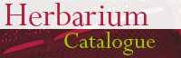 Kew's Herbarium Catalogue