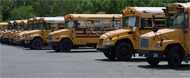 School buses