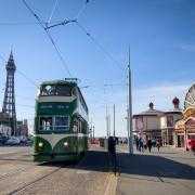 There are three lap dancing clubs in the seaside resort.