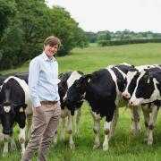 Matthew Hall, fourth-generation owner of Butlers Farmhouse Cheeses in Inglewhite