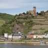 Rhin