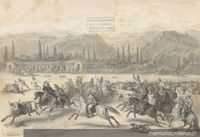 Matanza de ganado, siglo XIX