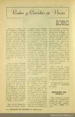 Rodeo y corridas de vacas