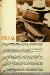 Ante una imagen falsa