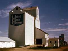 The United Grain Growers grain elevator with its crib annex at Rathwell, with Paterson at right