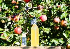 MITA JUICE