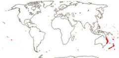 Argophyllaceae