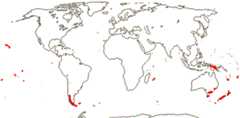 Asteliaceae