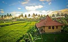 Dragonfly Village Ubud  Exterior photo