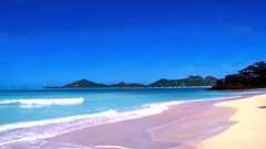 Música Esperanzadora con Aves y Mar 🌅🎹 | Paisaje Sonoro Inspirador Libre de Derechos