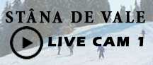 Stana de Vale cam 1