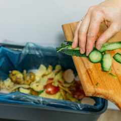 Food waste trial
