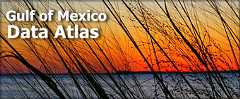Gulf of Mexico Data Atlas