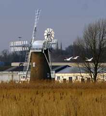 February 2013 with Cantly sugar beet factory behind