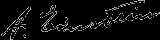  Signature of  Albert Einstein 