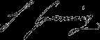  Signature of  Sophie Germain 