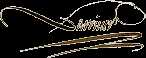  Signature of  Antoine-Laurent de Lavoisier 