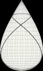  A bold geodesic line drawn   on the surface of Tannery's Pear. 