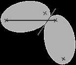  Congruent ellipses symmetrical  with respect to a common tangent. 