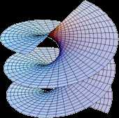  Helicoid 