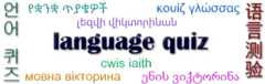 Language quiz image