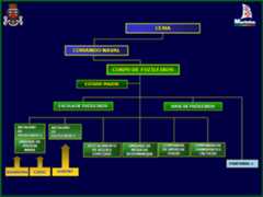 A organização actual do Corpo de Fuzileiros remonta a 1994, tendo no entanto sido criadas algumas valências, "residentes" nos dois batalhões: Pelotão de Abordagem; Destacamento de Cooperação Civil-Militar; Destacamento de Informações.  