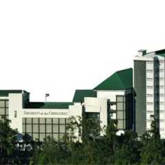 UNIVERSITY OF THE CORDILLERAS