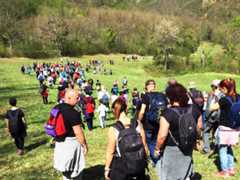 immagine di una commemorazione della strage di traghetto, persone in cammino