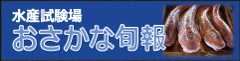 おさかな旬報