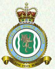 RAF Laarbruch badge