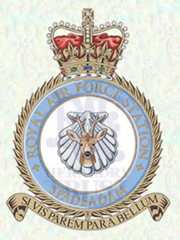 RAF Spadeadam badge