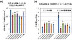 Imprimatinの投与がシロイヌナズナに与える影響の図