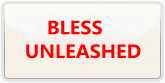 BLESS UNLEASHED 通貨購入