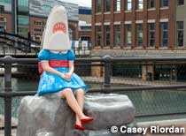 Shark Girl Shark Girl