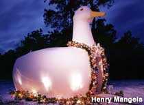 The Big Duck The Big Duck